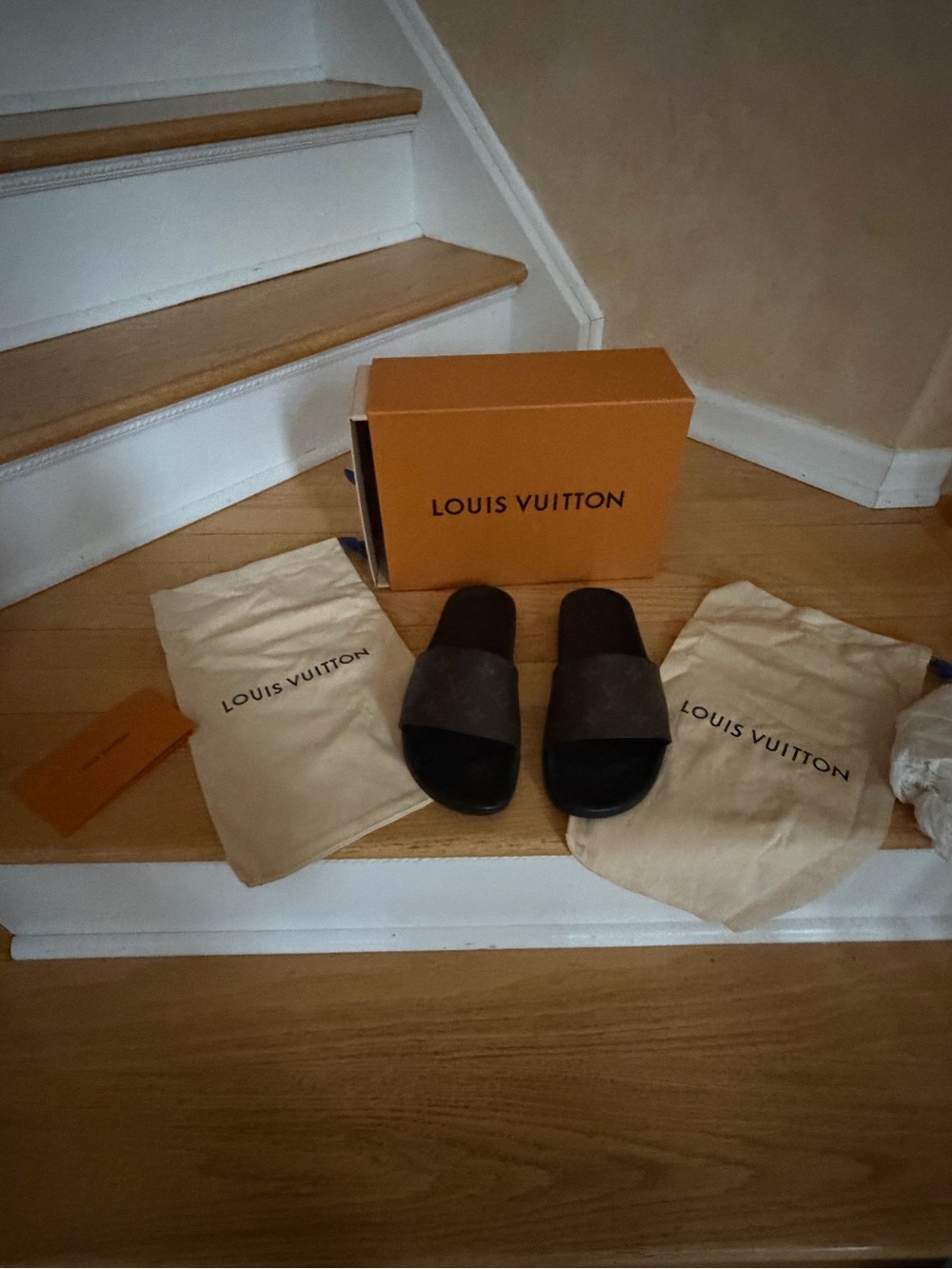 Louis Vuitton Waterfront Mule Men’s Black Brown Monogram Slide Sandals size 7